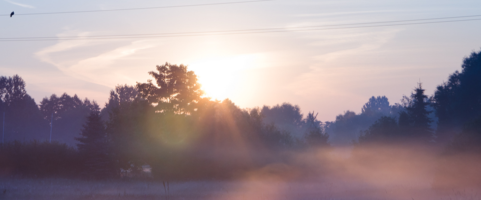 一秒发1000条电话的软件